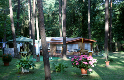 Dauercamping_Natur_Campingplatz